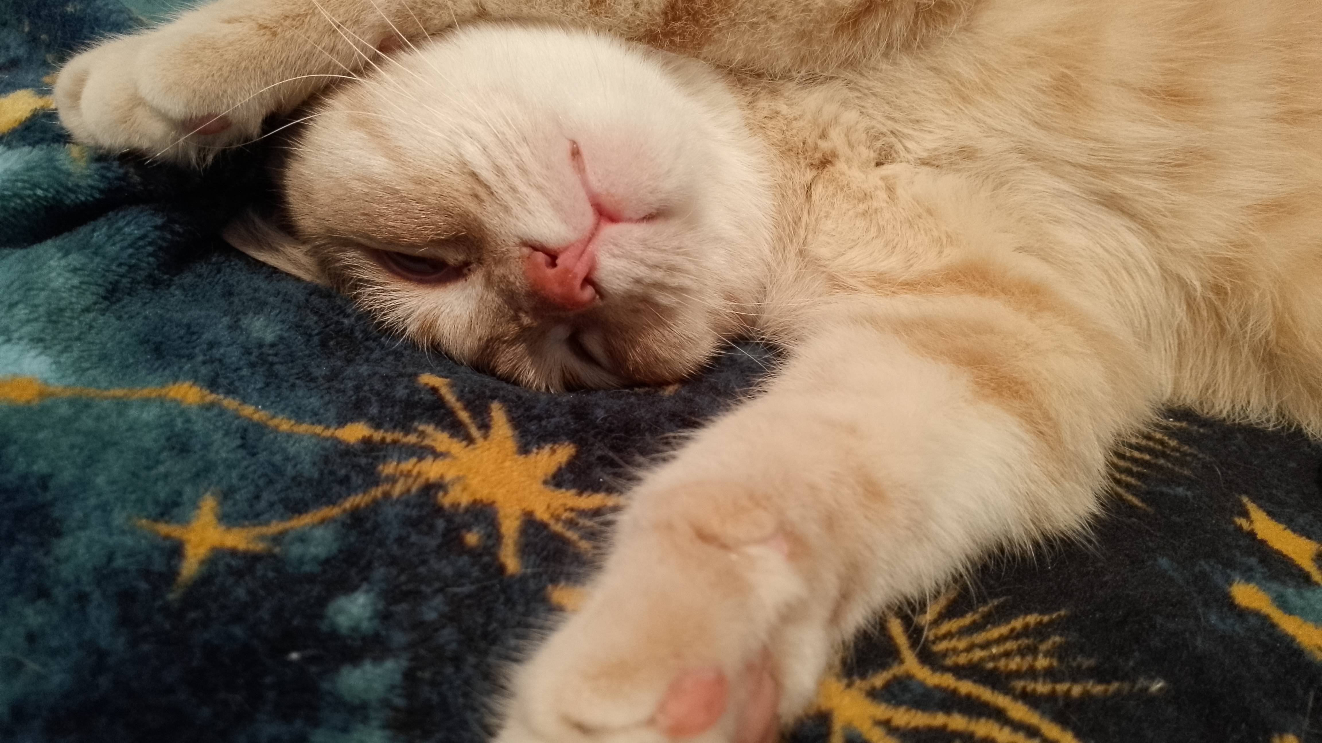 Влог. Довязала свою футболку из остатков пряжи, цветник. Подстриглась. смотреть онлайн