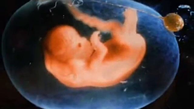 нерождённый смотреть онлайн