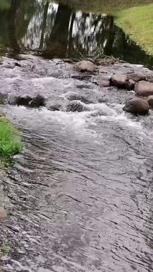 Течёт ручей, бежит ручей....