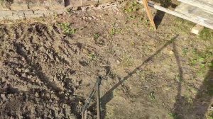 Чудо-лопата «Камнегрыз» чертеж и размеры