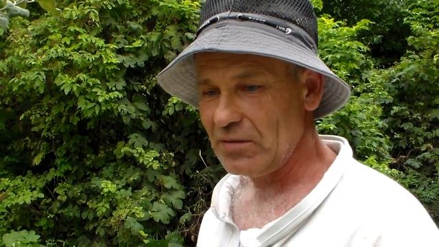 "Кройз", матка 20-го года не контролируемого спаривания смотреть онлайн