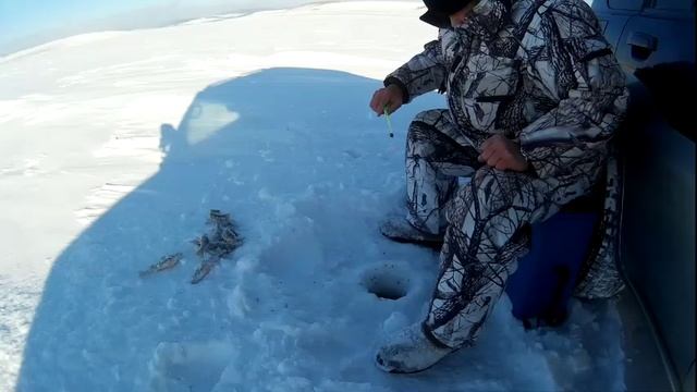 Ловля крупного и среднего окуня проводкой на опускание. смотреть онлайн