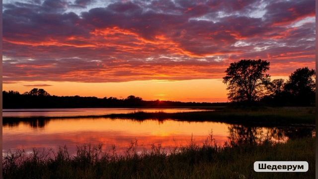 Нейроклип "Что-то шумит" смотреть онлайн