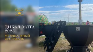 Музыкальный фестиваль Дикая мята 2023