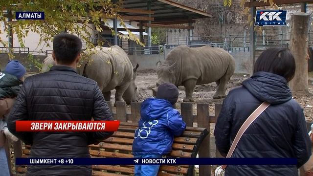 Кефир, одеяла и игры от депрессии: Алматинский зоопарк смотреть онлайн