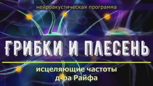 ГРИБКИ и ПЛЕСЕНЬ*Квантовое Исцеление Звуком*Лечебные Частоты (Гц)
