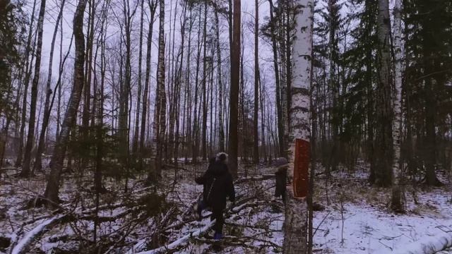 ERA (Эра ES). Película De Formación №28: Ensueño