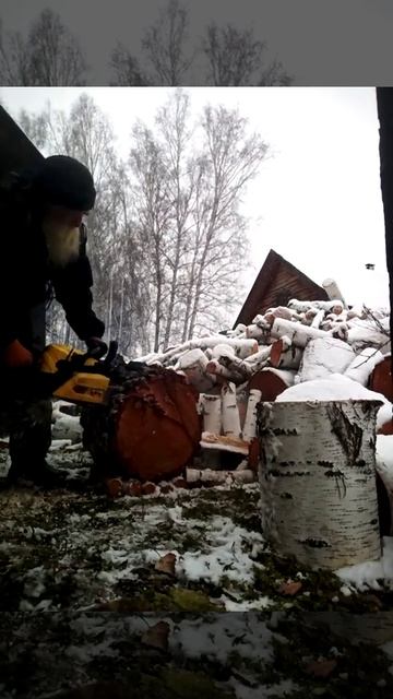 2 декабря 2024 г.(2) смотреть онлайн