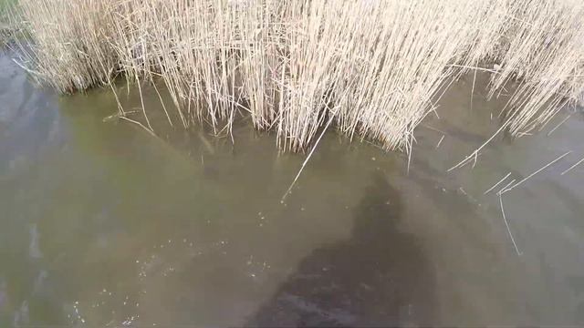 Пляжный поиск. День второй. смотреть онлайн