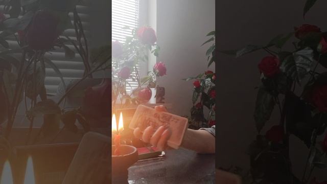 Кладбищенские порчи, мертвые смотреть онлайн