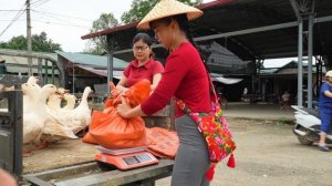 Местная девушка из Вьетнама продает уток, на деревенском рынке. Жизнь во Вьетнаме