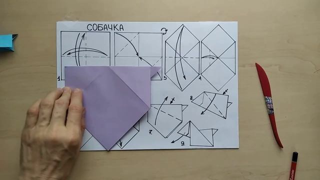 База КНИЖКА Собачка смотреть онлайн