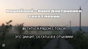 Ваня Дмитриенко - Вишнёвый| текст песни