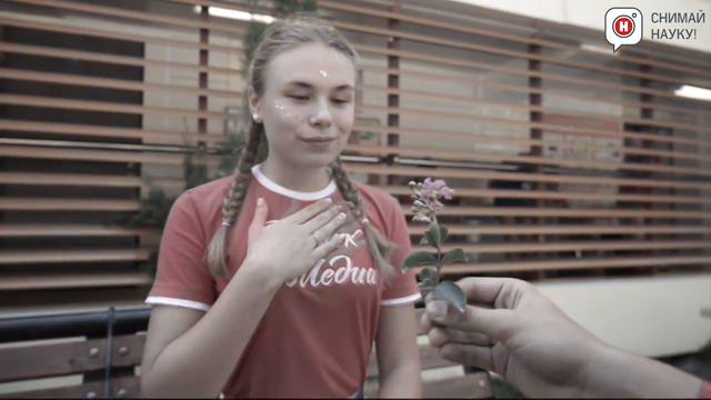 Обмани меня теория Пола Экмана смотреть онлайн