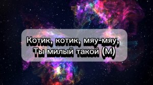 POLI - Котик (Official music lyrics) (Текст песни / Lyrics