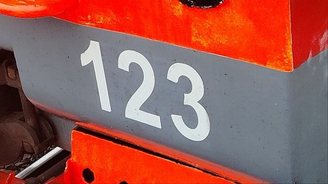 27 мая 2025 г. Электропоезд ЭТ2М-123 Сообщением Шапки-Обухово Прибывает на станцию Колпино смотреть онлайн