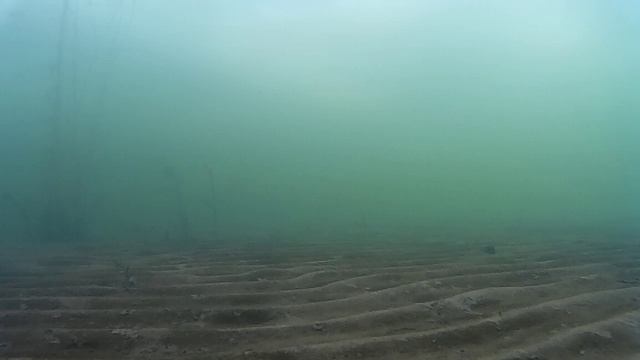 Ноябрьский окунь на глубине 70см 26.11.16. Подводное видео. смотреть онлайн