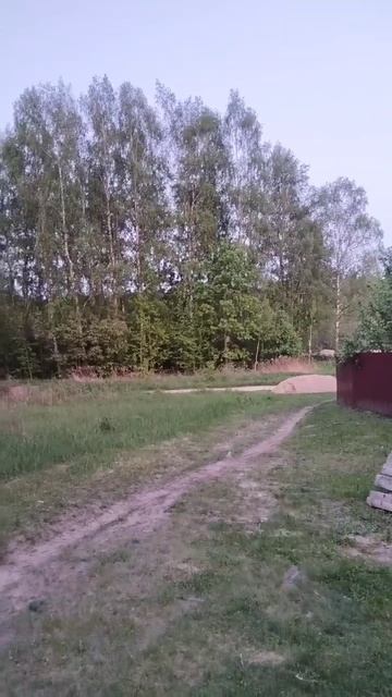 Лягушачий 🐸 концерт 😂 смотреть онлайн