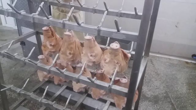 Мойка свиных голов – барабан