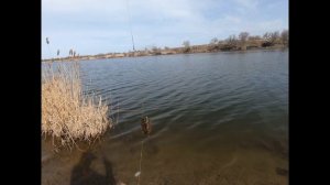 Карьер, рыбалка.