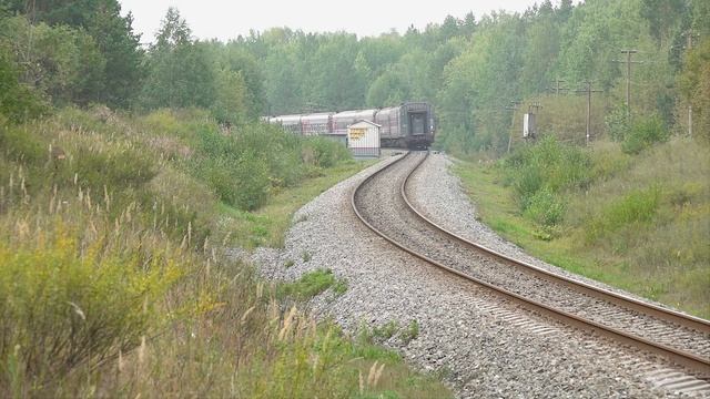 Поезда на перегоне Набережные Челны - Тихоново I Лето 20