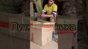 Как правильно делать пучок Донника. Кубанские веники.
