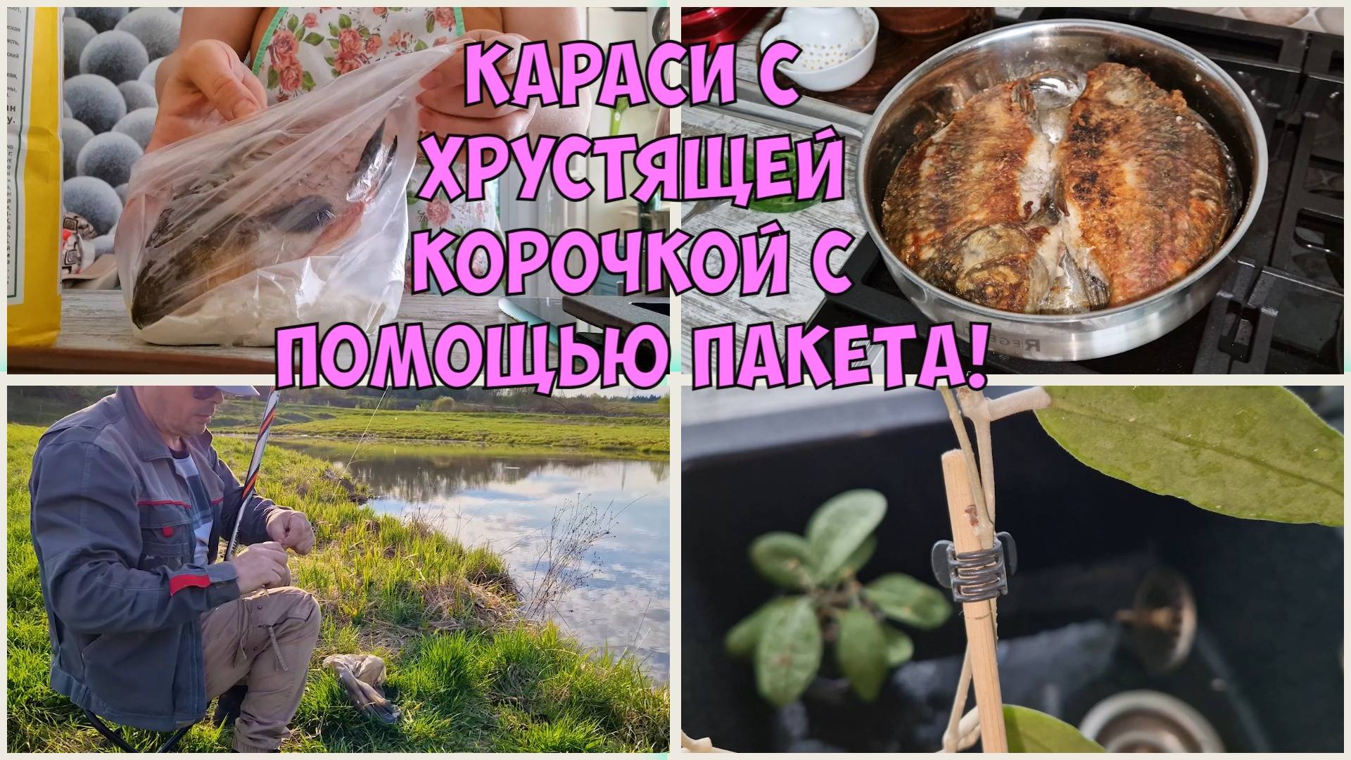 Танюшка в строю! Жареные КАРАСИ. ХОЙЯ малышка приятно порадовала! Рыбалка 👫🐠 🐟 смотреть онлайн