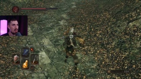 DARK SOULS II :Scholar of the First Sin #20 ➤ Дорога в Темнолесье