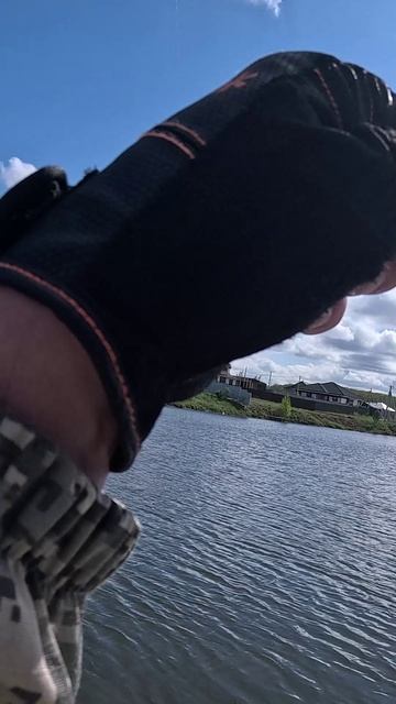 Что работает лучше, джиг-риг или дроп-шот