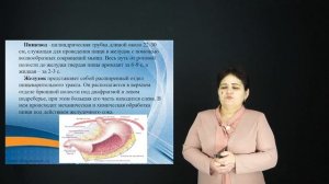 Возрастная физиология и гигиена пищеварительной сист