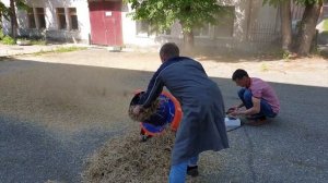 Измельчитель сена, соломы, травы _Шмель_ 4 Квт. Измельчение тюка соломы 22,4 кг.