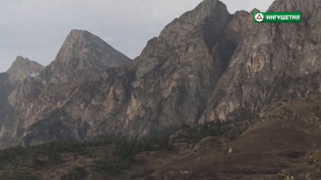 26012018 Г1АЛГ1АЙ БАЙТАШ смотреть онлайн
