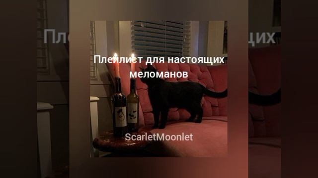 Плейлист для настоящих меломанов | Песни без мата смотреть онлайн