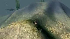 Spore Aquatic Stage этап рыба