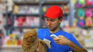 НОРМАЛЬНАЯ СЕМЬЯ ПРОТИВ НАГЛОЙ СЕМЬИ (МЫЖСЕМЬИ)