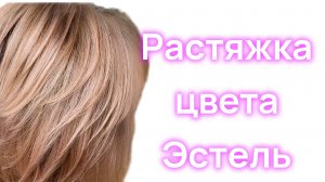 Окрашивание волос. Растяжка цвета. Эстель🌸🌸🌸