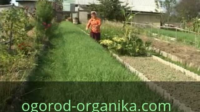 Что такое мульча Мульчирование грядок смотреть онлайн