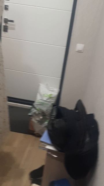 20250528_135939.mp4 смотреть онлайн