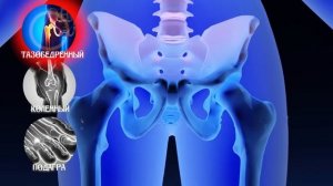 НОВИНКА 2025: Матрицы Гаряева для Восстановления всех Суставов Ног 2025