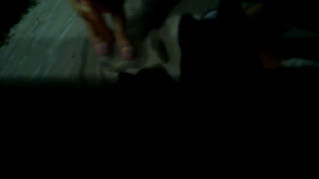 Сериал, собачья жизнь 2серия 1сезона смотреть онлайн