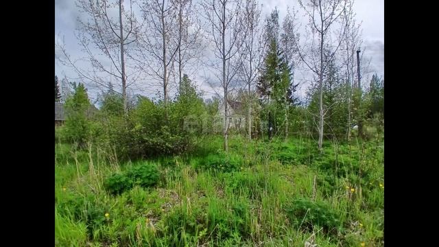 7846909 смотреть онлайн
