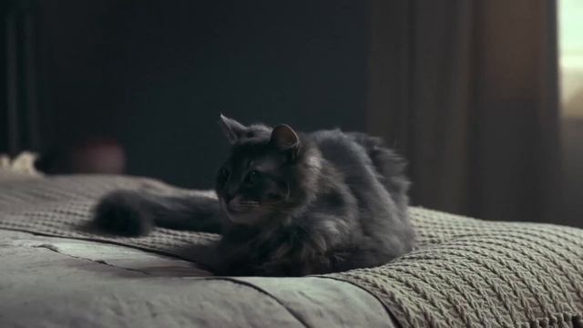 Фильм "Мой ужасный сосед" смотреть онлайн