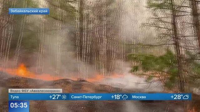Первый канал # Новости Природные пожары в Забайкалье смотреть онлайн