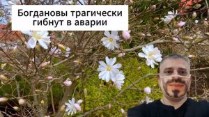 На правах матери 1 - 8 серия (2024) | Премьера. Домашний | со