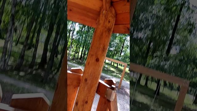 1000001301.mp4 смотреть онлайн