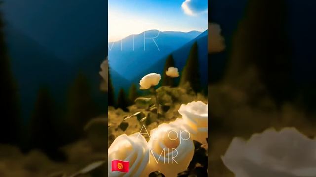 MIR - Бишкек (Долина Чуйская). Автор текста и музыки MIR. Вс смотреть онлайн