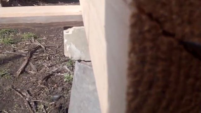 Снова начал покупать Лес 