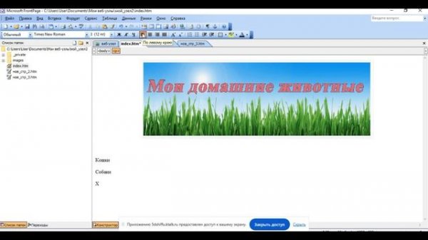 Microsoft Office Front Page