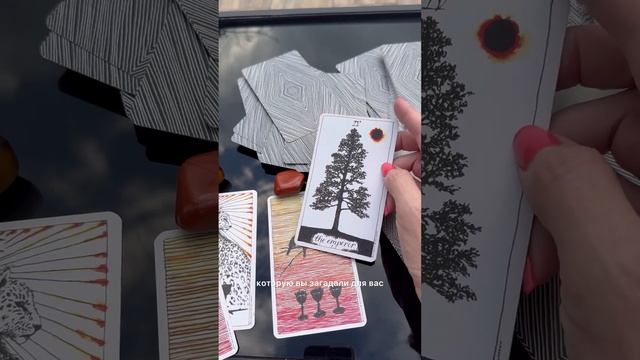 Хочет ли человек с вами на чашечку кофе? ☕️❤️