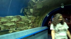 Круиз «Санкт-Петербург - Москва» на теплоходе А. Чехов.